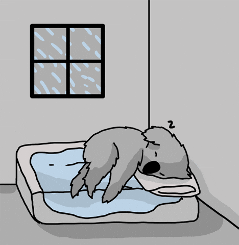 Good Night Lol GIF by Evan M Cohen