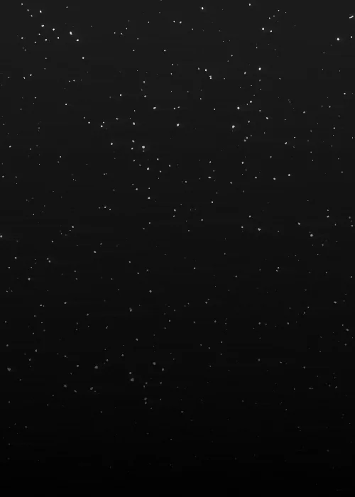 Black And White Animation GIF by James Zanoni