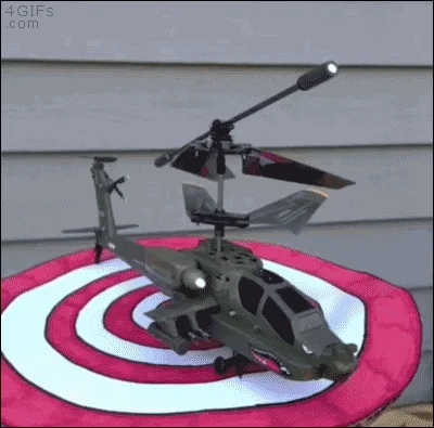 Dog Helicopter GIF