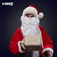 Happy Merry Christmas GIF by SWR3