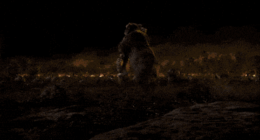 Super Bowl Reaction GIF by Disney's The Jungle Book