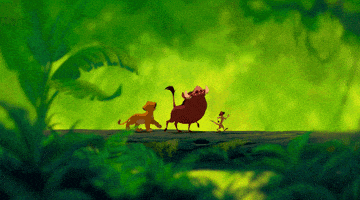 the lion king montage GIF by Disney