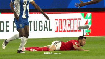 Sl Benfica Slbgif GIF by Sport Lisboa e Benfica
