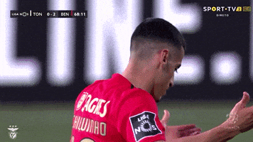 Frustrated Sl Benfica GIF by Sport Lisboa e Benfica