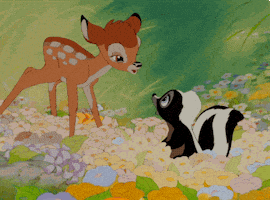 walt disney animation studios GIF by Disney