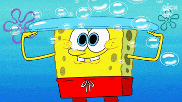 Nickelodeon GIF by SpongeBob SquarePants