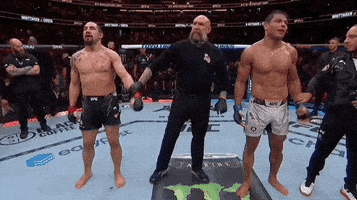 Mixed Martial Arts Sport GIF by UFC