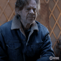 season 6 showtime GIF by Shameless