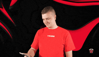 Brawl Stars Bro GIF by Tribe Gaming