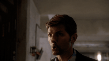 fox tv GIF by Ghosted