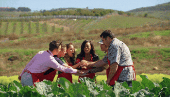 high five gordon ramsay GIF by Masterchef