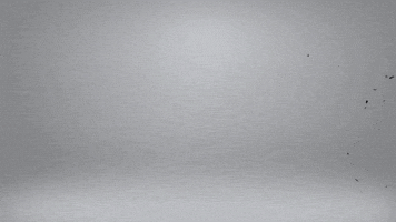 Logo Loop GIF by N0va