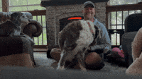 Happy Birthday Barney GIF by Summit Comedy, Inc.