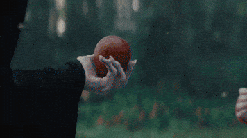 Snow White GIF by Walt Disney Studios