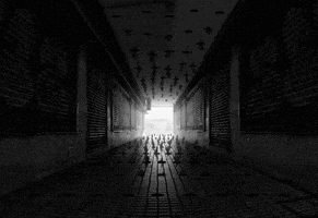 black and white loop GIF by A. L. Crego