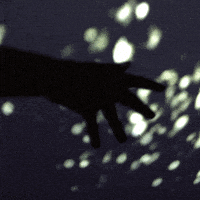 animated gif GIF by Liaizon Wakest