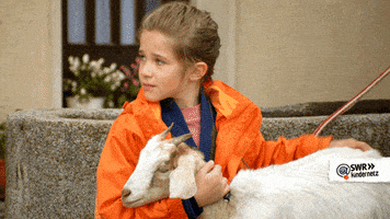 tiere bis unters dach love GIF by SWR Kindernetz