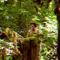 Tree Hanging GIF by Four Rest Films