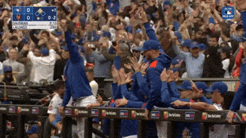 Celebrate Home Run GIF by New York Mets