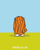 Long Hair Sheep GIF by Herdy
