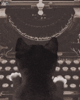 Work Cats GIF by Felini Rocks