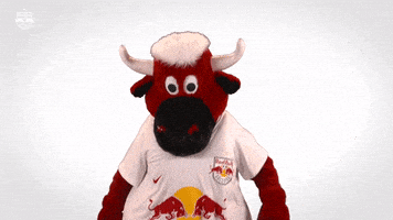 Celebrate Red Bull GIF by FC Red Bull Salzburg