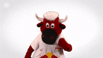 Celebrate Red Bull GIF by FC Red Bull Salzburg