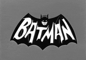 batman GIF by hoppip