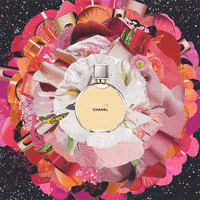 fashion artist GIF by Chantal Caduff