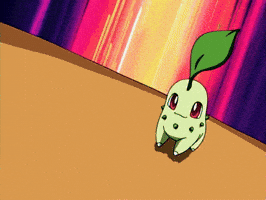 Fight Battle GIF by Pokémon