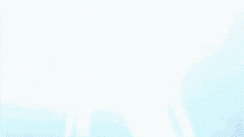 Game Show Smile GIF by ABC Network