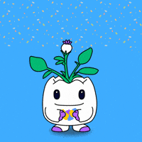 Happy Birthday Love GIF by Magic Eden