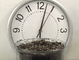 grass grow GIF grass grow GIF