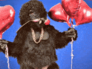 https://media0.giphy.com/media/v1.Y2lkPWI3NGU3MTk5MnAzeG1jMnV6bjYxM2NyN2E5ZXExaDVzOHEzNGVnNjUzMDVreWUydSZlcD12MV9naWZzX3RyZW5kaW5nJmN0PWc/fvjBHSTYMcE1fKcrP9/100_s.gif