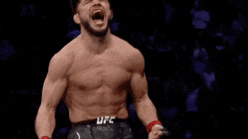 Mixed Martial Arts Knockout GIF by ESPN