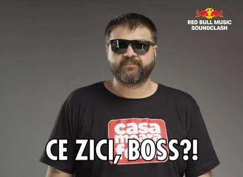 soundclash soundclashromania GIF