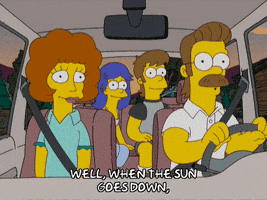 homer simpson car GIF