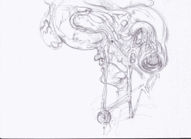 alex boya animation studio GIF by Alex Boya