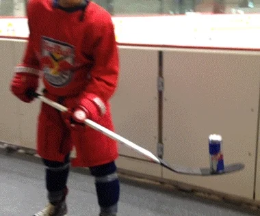 flip it ice hockey GIF