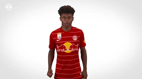 Celebrate Red Bull GIF