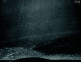 x files GIF by The X-Files