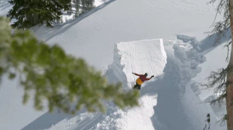 snowboard GIF
