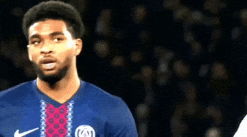 Paris Saint-Germain Psg GIF