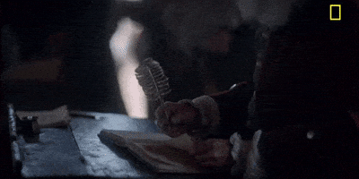 Episode 1 GIF by National Geographic Channel