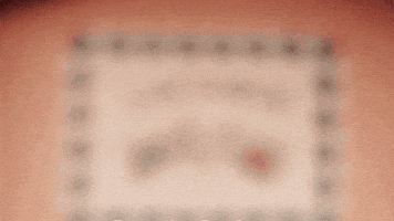 gordon ramsay GIF by Gordon Ramsay's 24 Hours to Hell and Back