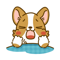 Sad Welsh Corgi GIF by Lazy Corgi