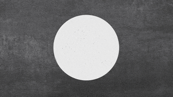 Black And White Loop GIF by A. L. Crego