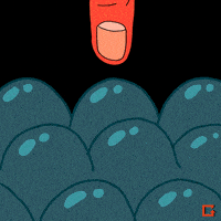 Bubble Wrap Oh Come On GIF by gifnews