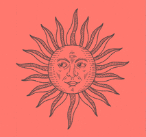 summer looking GIF by FIBRA BRANDING