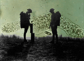 War Art GIF